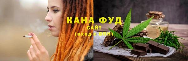 крисы Надым