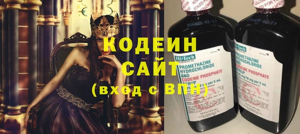крисы Надым