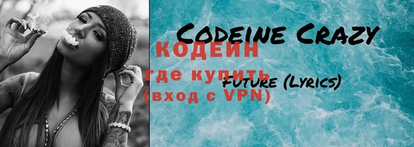 крисы Надым